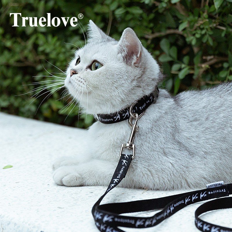 Collier Et Laisse Pour Chat Truelove Cute