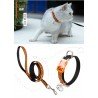 Collier et laisse pour chat Truelove CUTE