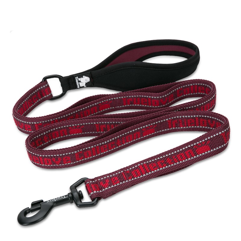 Laisse pour chien Truelove PULL +
