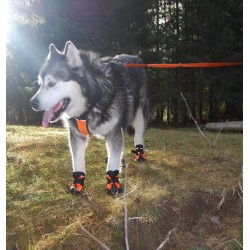 Botines protectores para perros Truelove SHOE