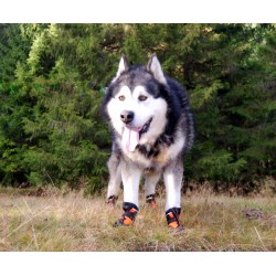 Botines protectores para perros Truelove SHOE