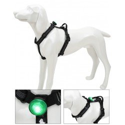 LED TRUELOVE POUR COLLIER LAISSE ET HARNAIS