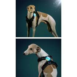 LED Rechargeable Truelove - TLD19102