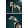 LED Rechargeable Truelove - TLD19102