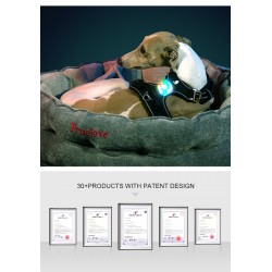 LED Rechargeable Truelove - TLD19102