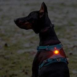 Led rechargeable Truelove pour harnais pour chien et colliers - TLD19103