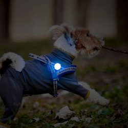 Led rechargeable Truelove pour harnais pour chien et colliers - TLD19103