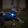 Led rechargeable Truelove pour harnais pour chien et colliers - TLD19103