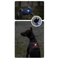 Led rechargeable Truelove pour harnais pour chien et colliers - TLD19103