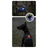 Led rechargeable Truelove pour harnais pour chien et colliers - TLD19103