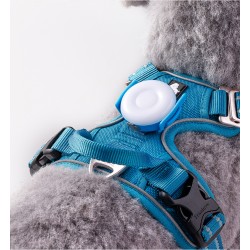 Led rechargeable Truelove pour harnais pour chien et colliers - TLD19103
