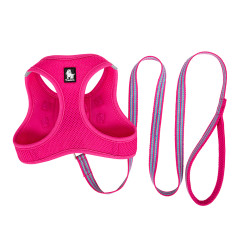 TRUELOVE SALOON HARNESS + - TLH2911