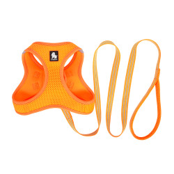 TRUELOVE SALOON HARNESS + - TLH2911