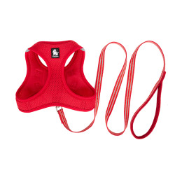 TRUELOVE SALOON HARNESS + - TLH2911