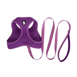 TRUELOVE SALOON HARNESS + - TLH2911