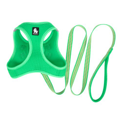 TRUELOVE SALOON HARNESS + - TLH2911