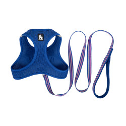 TRUELOVE SALOON HARNESS + - TLH2911