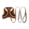 TRUELOVE SALOON HARNESS + - TLH2911