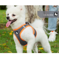 TRUELOVE SALOON HARNESS + - TLH2911