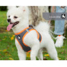 TRUELOVE SALOON HARNESS + - TLH2911