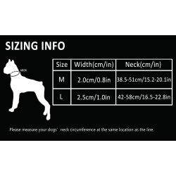 Collier pour chien chien Truelove chaîne acier inoxydable - TLC5372