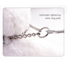 Collier pour chien chien Truelove chaîne acier inoxydable - TLC5372
