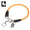 Collier pour chien de Sécurité Réfléchissant Truelove P-chain - TLC5375