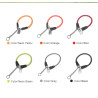 Collier pour chien de Sécurité Réfléchissant Truelove P-chain - TLC5375