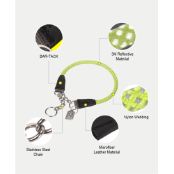 Collier pour chien de Sécurité Réfléchissant Truelove P-chain - TLC5375