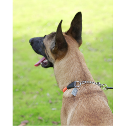 Collier pour chien de Sécurité Réfléchissant Truelove P-chain - TLC5375