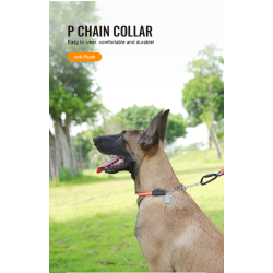 Collier pour chien de Sécurité Réfléchissant Truelove P-chain - TLC5375