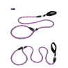 Laisse pour chien lasso de Formation Truelove pour chien - TLL2575