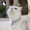 Collier pour chien pour Chat avec Sangle de Sécurité Élastique - TLC5313