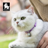 Collier pour chien pour Chat avec Sangle de Sécurité Élastique - TLC5313