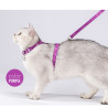 Conjunto de arnés y correa para perros y gatos Truelove - TLH3912