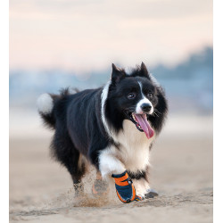 2 Chaussures Respirantes et Réfléchissantes pour Chien avec Semelle en Caoutchouc - TLS4862