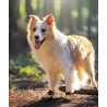 2 Chaussures Respirantes et Réfléchissantes pour Chien avec Semelle en Caoutchouc - TLS4862