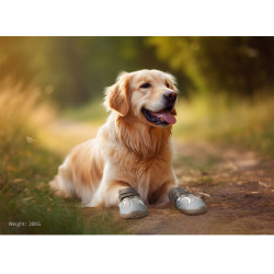 4 Chaussures Extérieures pour chien Truelove en Maille Respirante et Cuir - TLS3962