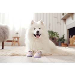 4 Chaussures Extérieures pour chien Truelove en Maille Respirante et Cuir - TLS3962