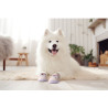 4 Chaussures Extérieures pour chien Truelove en Maille Respirante et Cuir - TLS3962