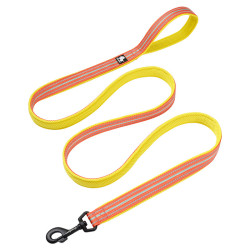 Truelove Walk Dog Leash