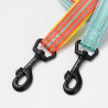 Truelove Walk Dog Leash
