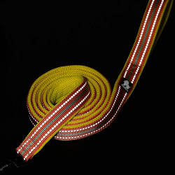 Truelove Walk Dog Leash